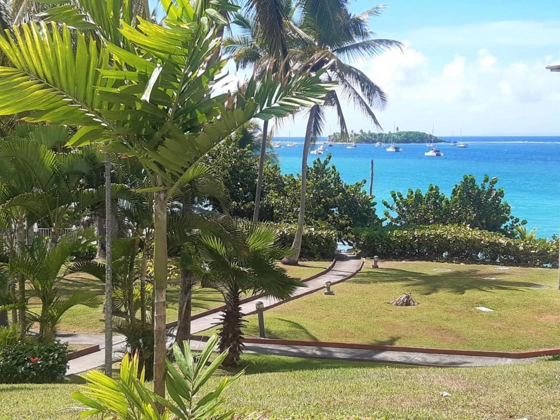Ilet Bleu Studio Cosy Rdc Vue Mer Et Jardin - Acces Direct Plage 哥西尔 外观 照片