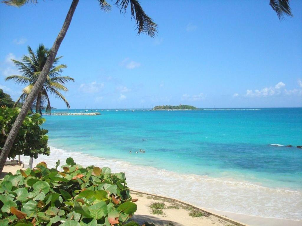 Ilet Bleu Studio Cosy Rdc Vue Mer Et Jardin - Acces Direct Plage 哥西尔 外观 照片
