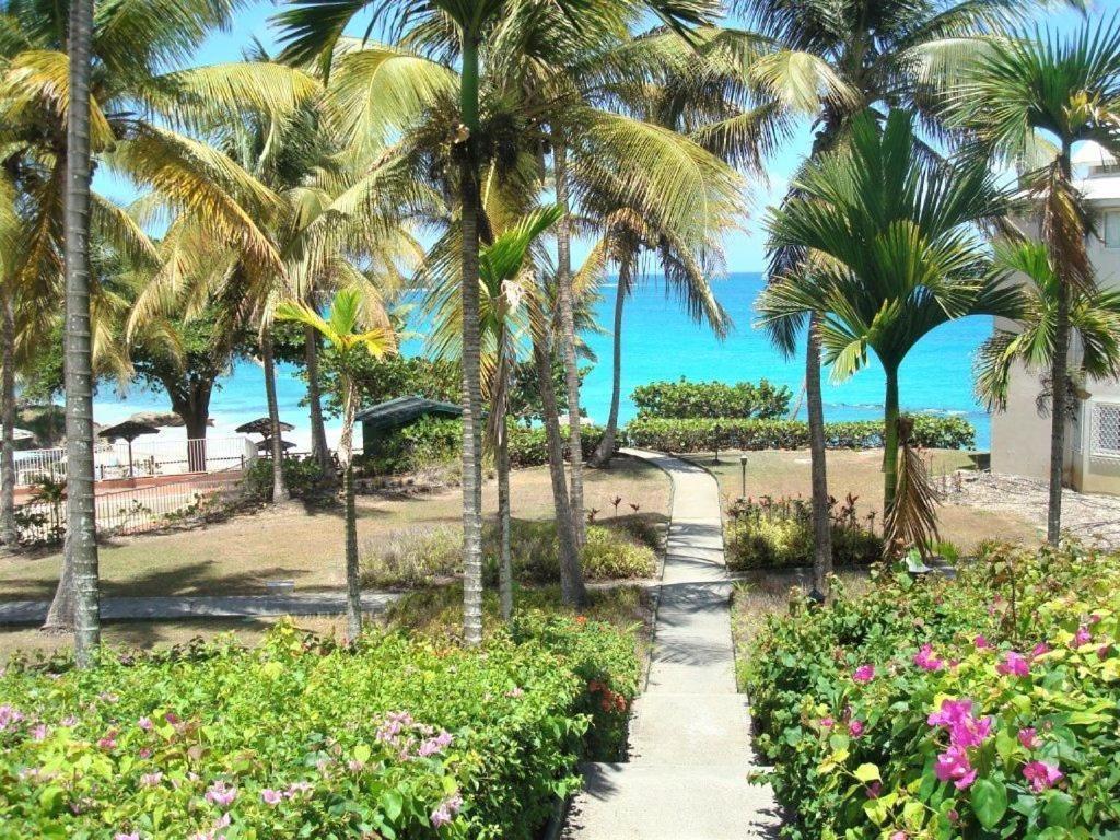 Ilet Bleu Studio Cosy Rdc Vue Mer Et Jardin - Acces Direct Plage 哥西尔 外观 照片