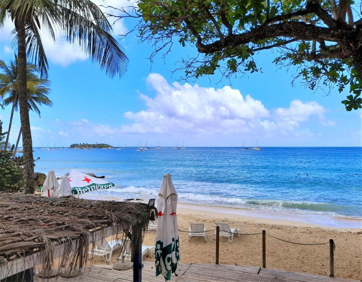 Ilet Bleu Studio Cosy Rdc Vue Mer Et Jardin - Acces Direct Plage 哥西尔 外观 照片