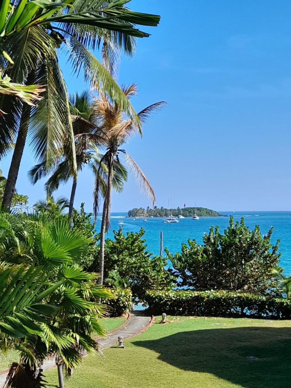 Ilet Bleu Studio Cosy Rdc Vue Mer Et Jardin - Acces Direct Plage 哥西尔 外观 照片